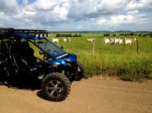 Buggy Tours Costa Rica 3