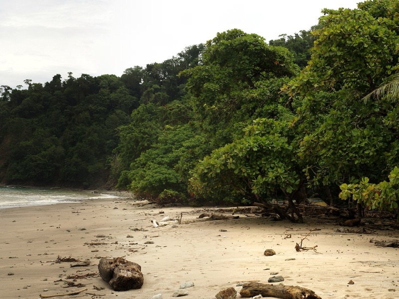 Forest meeting a quiet beach at Cabo Blanco, Nicoya Peninsula