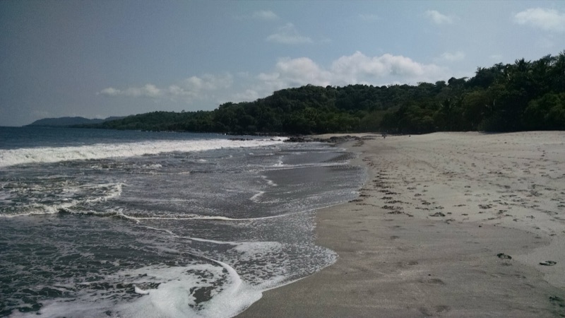 Sandy beach and forested headland at Montezuma, Nicoya Peninsula
