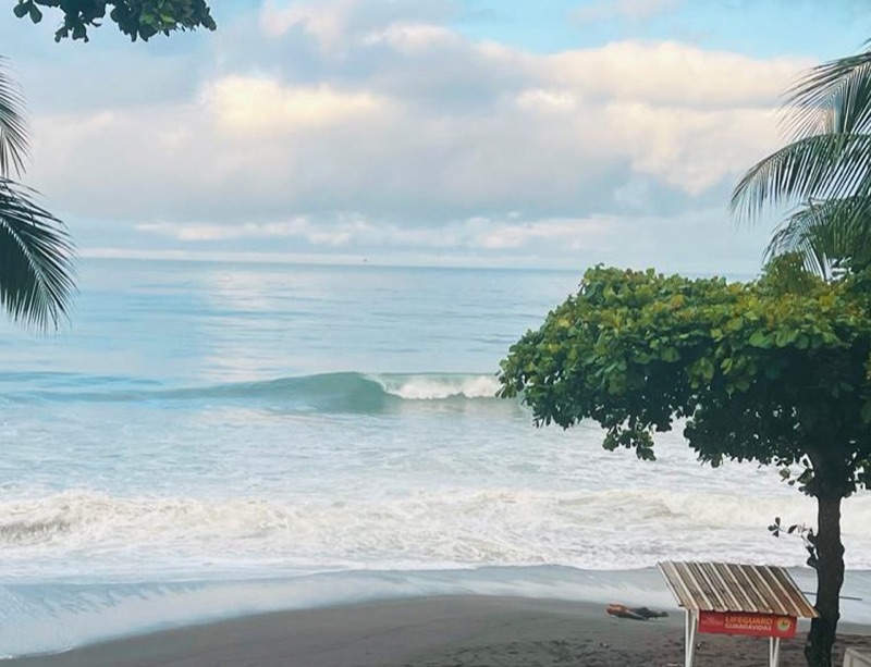 Waves breaking on the black sand beach at Playa Hermosa, seen from Surf Inn Hermosa under palms