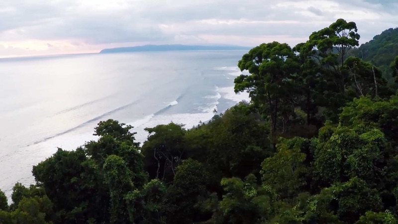 Rainforest and surf along the coast at Punta Banco, near the Yoga Farm